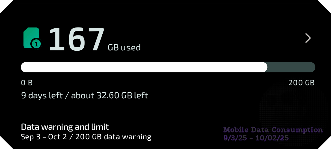 167 Gigs of data flew through my phone this month